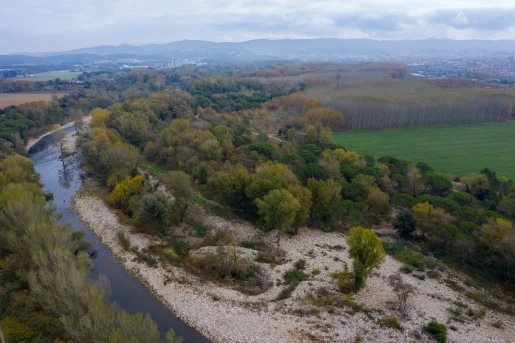 fluvial